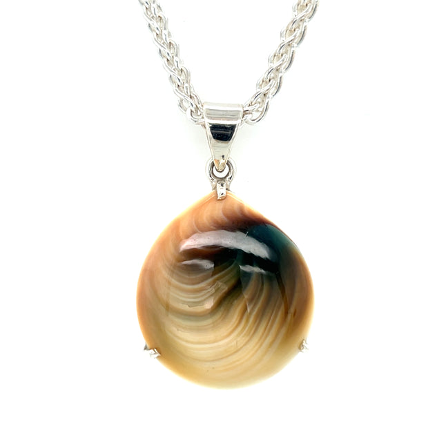 Sterling Silver Shiva Eye Fossil Pendant