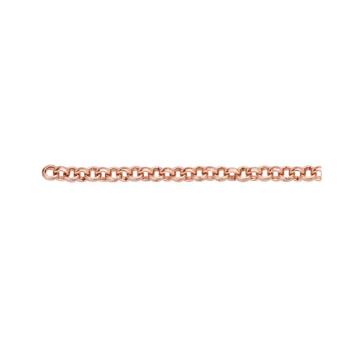 Permanent Jewelry - Rolo Link Bracelet or Anklet