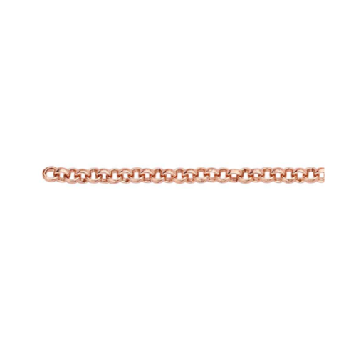 Endless Anklet Rolo Link Design - Permanent Jewelry